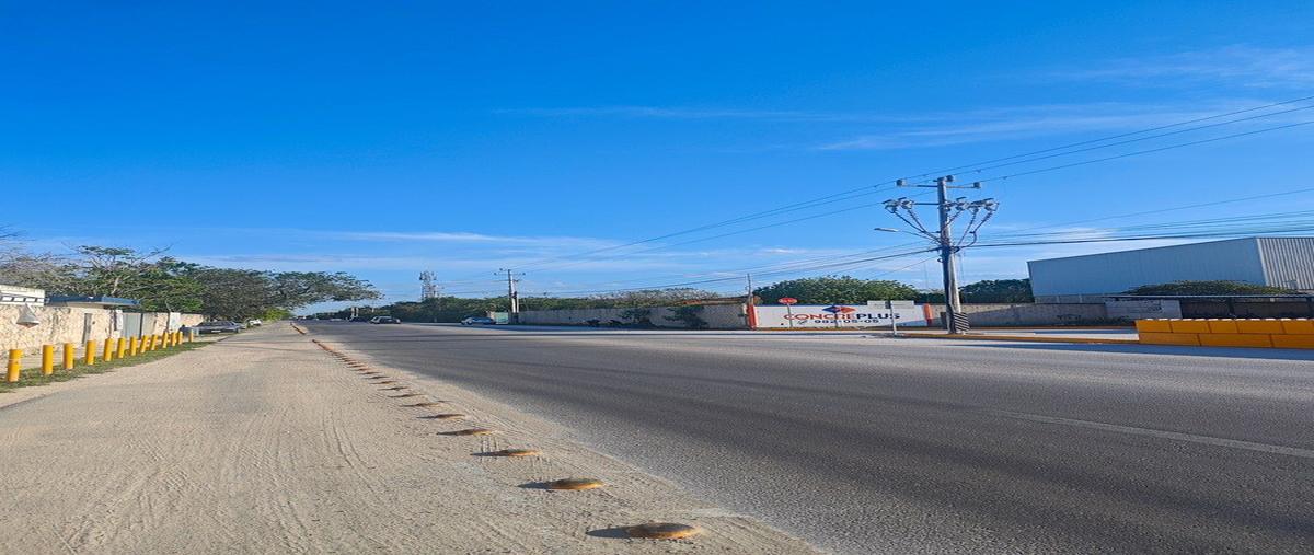 Foto de terreno habitacional en venta en  , san antonio hool, mérida, yucatán, 0 No. 05