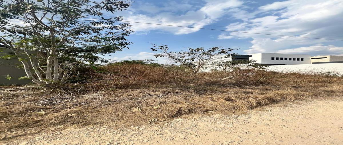 Foto de terreno habitacional en , san antonio hool, mérida, yucatán, 31426649 foto 01 Foto de terreno habitacional en venta en , san antonio hool, mérida, yucatán, 31426649 No. 01