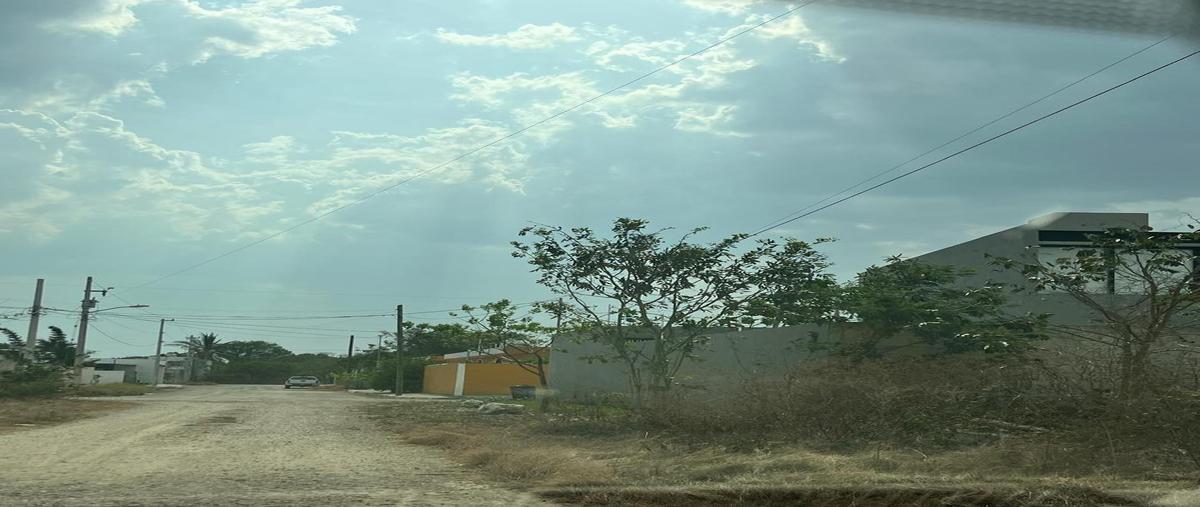 Foto de terreno habitacional en , san antonio hool, mérida, yucatán, 31426649 foto 02 Foto de terreno habitacional en venta en , san antonio hool, mérida, yucatán, 31426649 No. 02