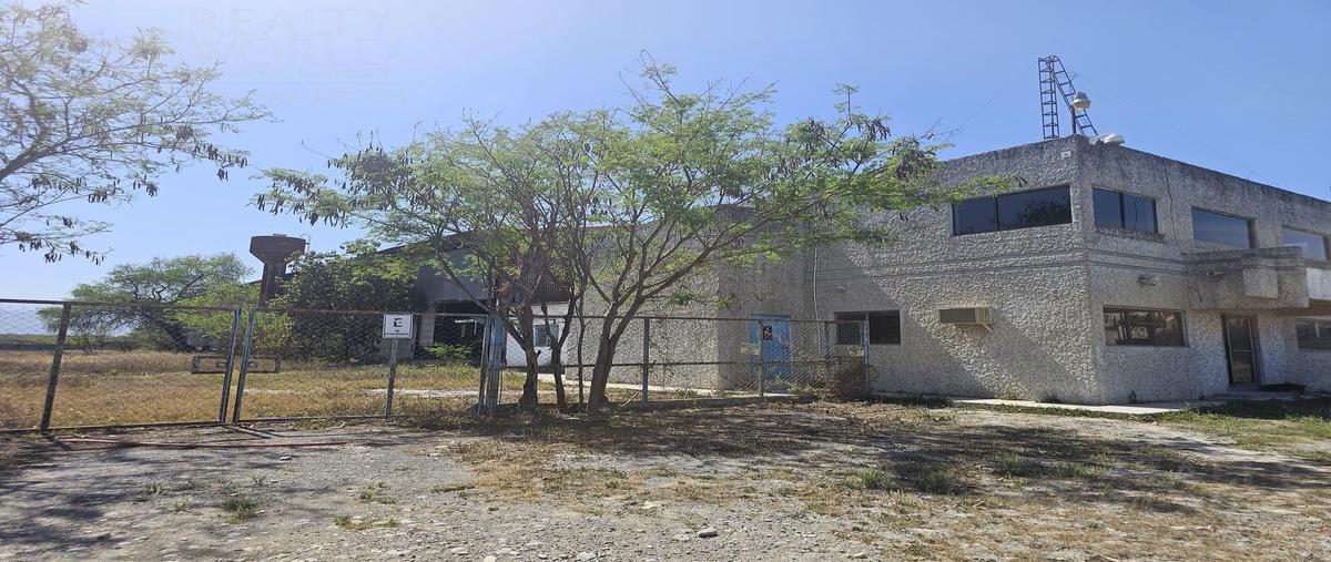 Foto de nave industrial en venta en  , san antonio, juárez, nuevo león, 30340521 No. 04