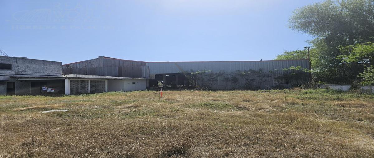 Foto de nave industrial en venta en  , san antonio, juárez, nuevo león, 30340521 No. 05