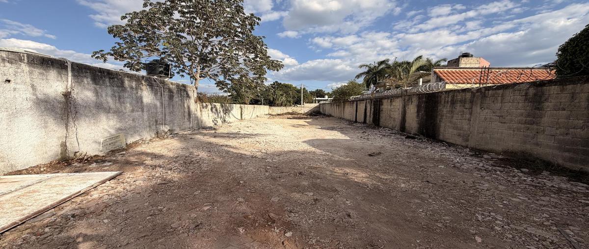 Foto de terreno habitacional en renta en  , san antonio kaua, mérida, yucatán, 0 No. 03