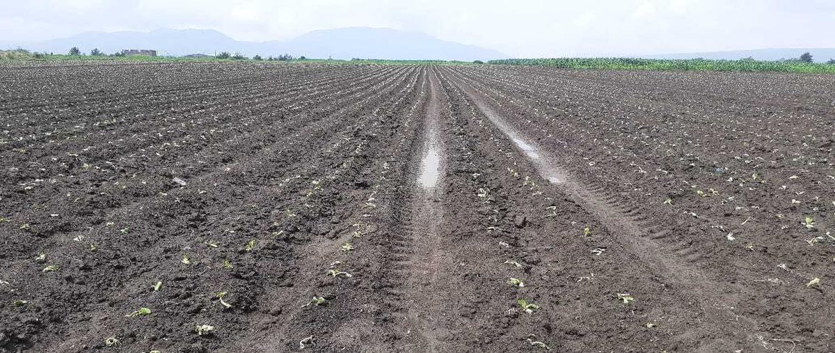 Foto de terreno habitacional en venta en  , san antonio la isla, san antonio la isla, méxico, 25160550 No. 05