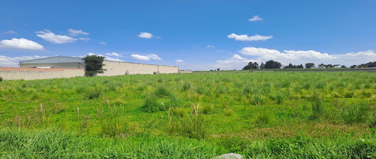 Foto de terreno habitacional en , san antonio la isla, san antonio la isla, méxico, 30274034 foto 03 Foto de terreno habitacional en venta en , san antonio la isla, san antonio la isla, méxico, 30274034 No. 03