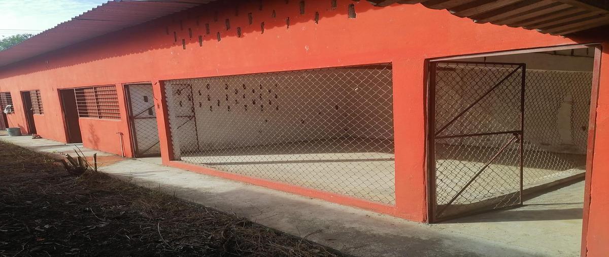 Foto de casa en , san antonio, loma bonita, oaxaca, 0 foto 03 Foto de casa en venta en , san antonio, loma bonita, oaxaca, 0 No. 03