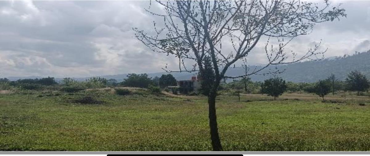 Foto de terreno habitacional en , san antonio parangare, morelia, michoacán de ocampo, 0 foto 04 Foto de terreno habitacional en venta en , san antonio parangare, morelia, michoacán de ocampo, 0 No. 04