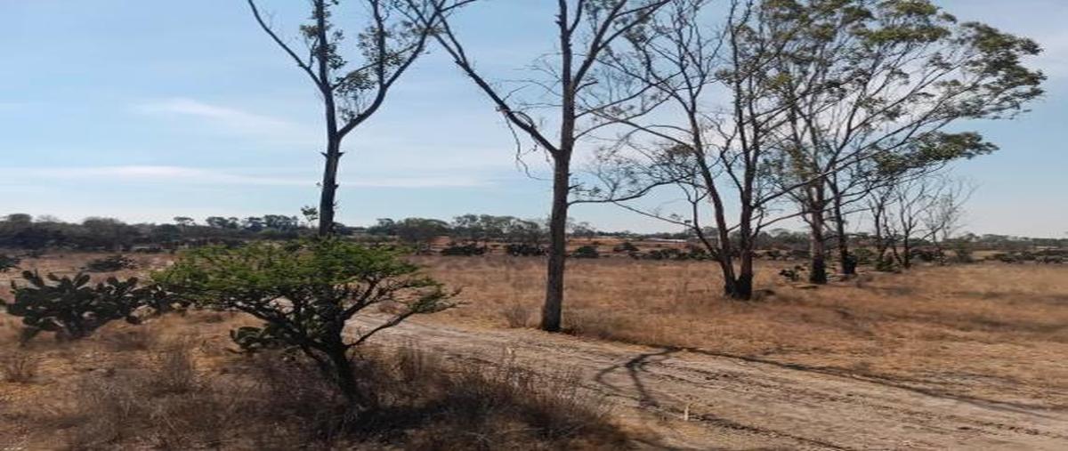 Foto de terreno habitacional en venta en  , san antonio polotitlán, polotitlán, méxico, 30933349 No. 03