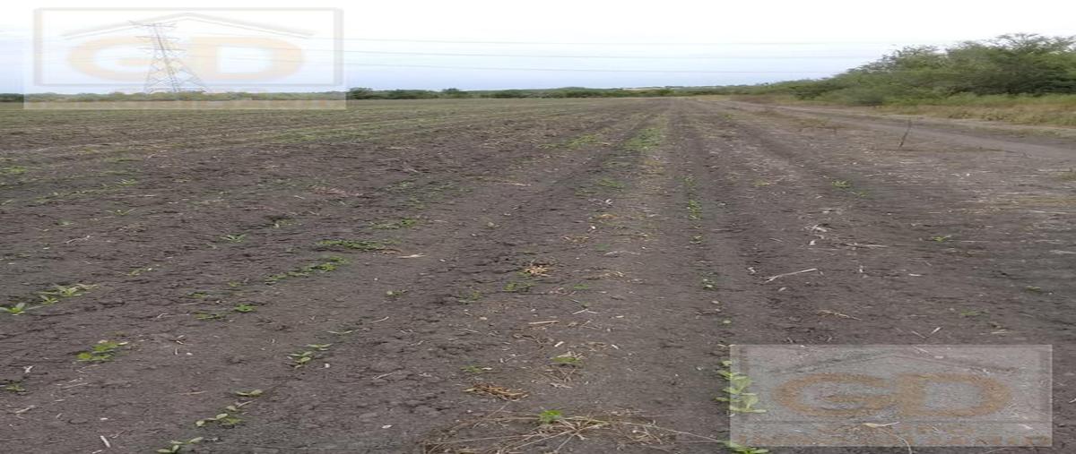 Foto de terreno habitacional en venta en  , san antonio rayón, gonzález, tamaulipas, 0 No. 03
