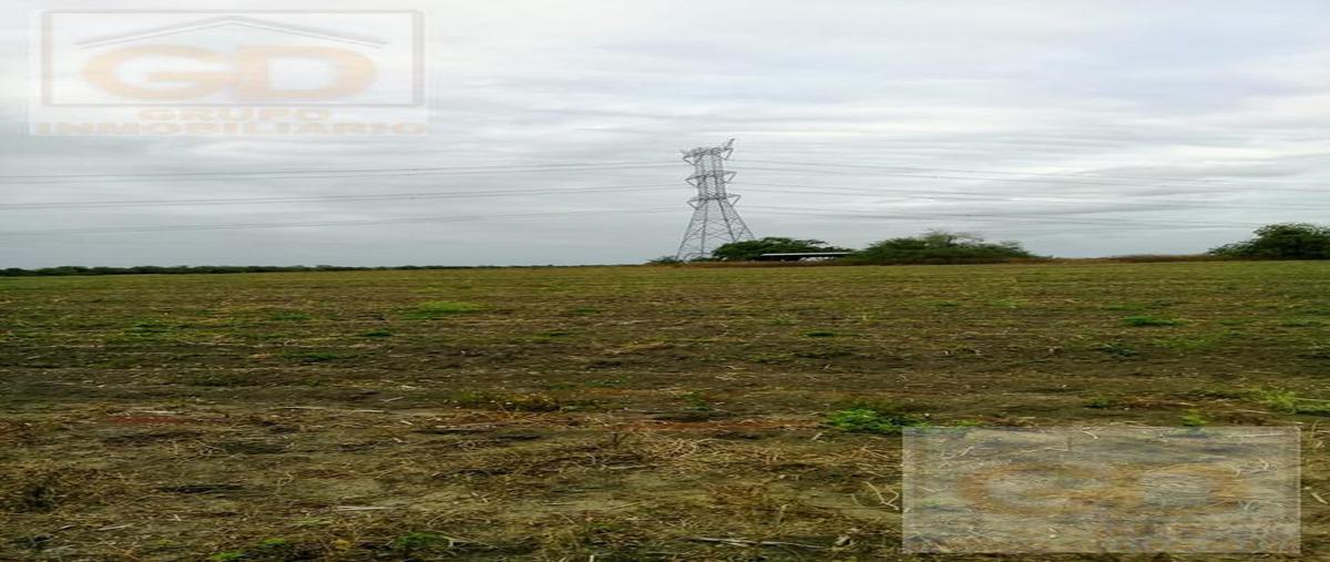 Foto de terreno habitacional en venta en  , san antonio rayón, gonzález, tamaulipas, 22714064 No. 05