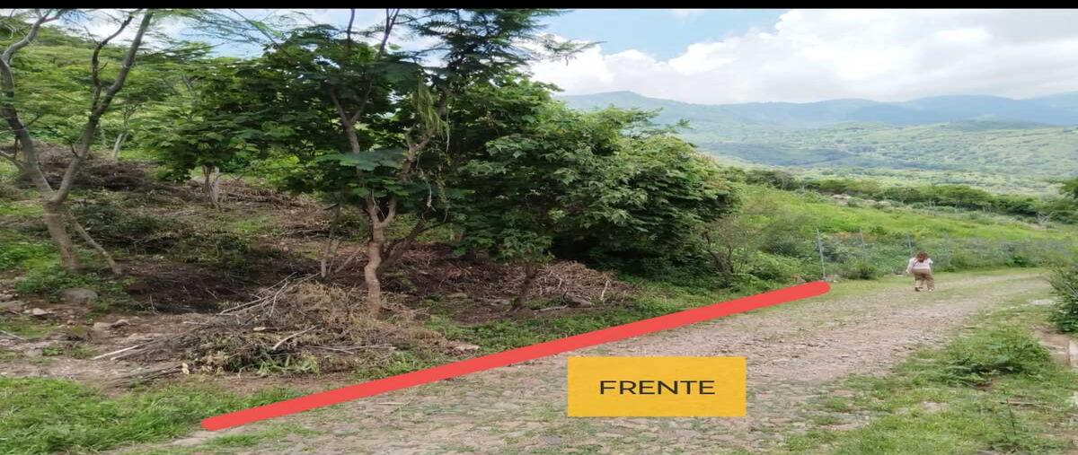 Foto de terreno habitacional en venta en  , san antonio, tapalpa, jalisco, 0 No. 03