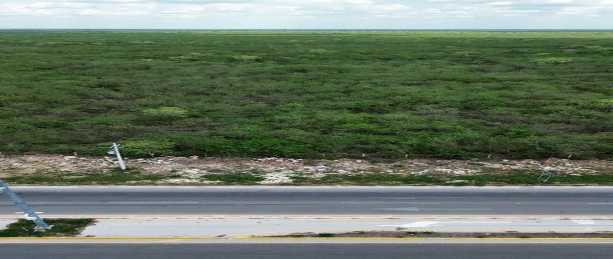 Foto de terreno industrial en , san antonio tehuitz, kanasín, yucatán, 27837402 foto 02 Foto de terreno industrial en renta en , san antonio tehuitz, kanasín, yucatán, 27837402 No. 02