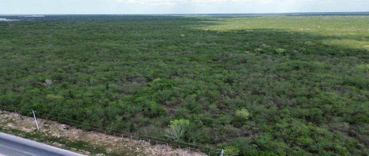 Foto de terreno industrial en , san antonio tehuitz, kanasín, yucatán, 27837402 foto 03 Foto de terreno industrial en renta en , san antonio tehuitz, kanasín, yucatán, 27837402 No. 03