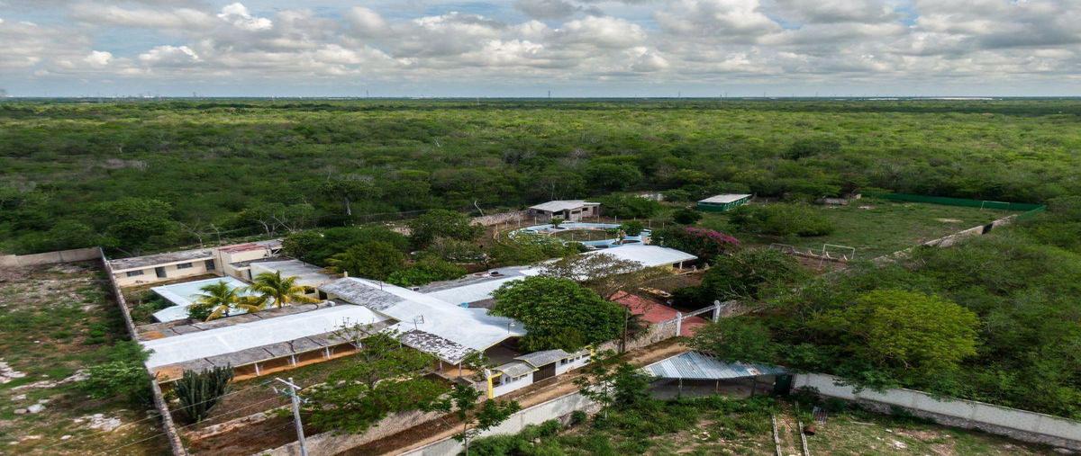 Foto de casa en venta en  , san antonio tehuitz, kanasín, yucatán, 0 No. 03