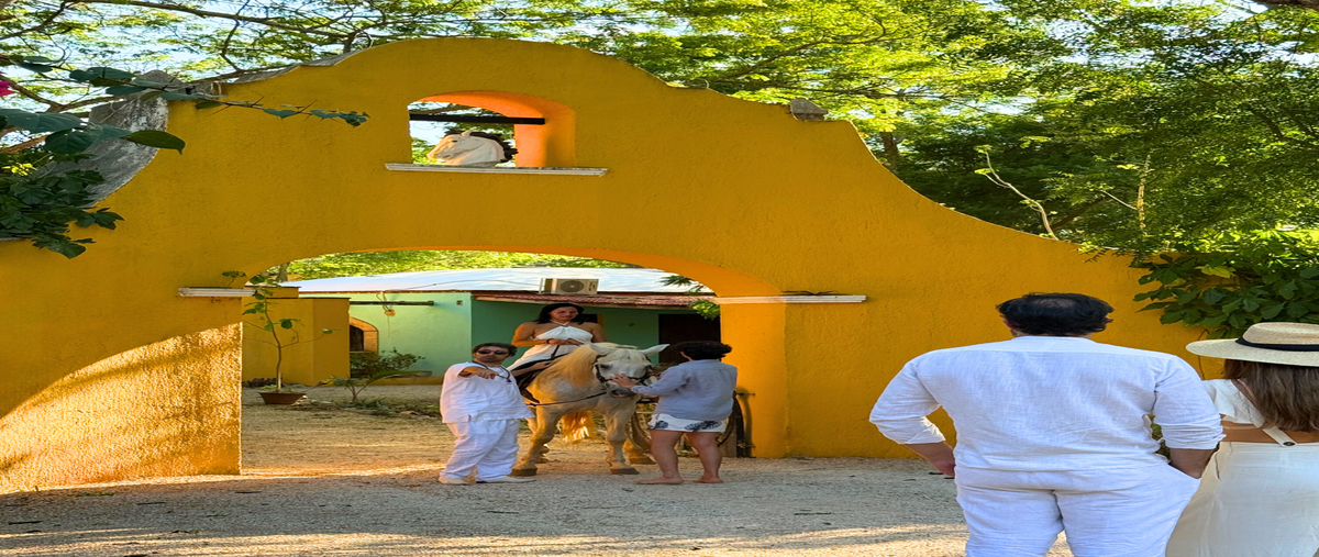 Foto de rancho en venta en , , san antonio tehuitz, kanasín, yucatán, 29913714 No. 05