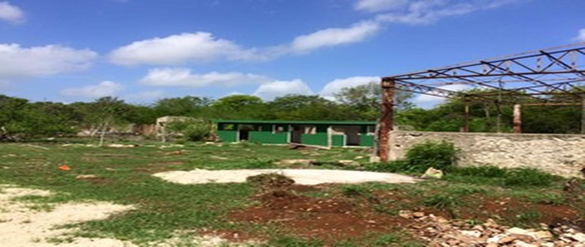 Foto de rancho en san antonio tehuitz whi267281, san antonio tehuitz, kanasín, yucatán, 19305338 foto 01 Foto de rancho en renta en san antonio tehuitz whi267281, san antonio tehuitz, kanasín, yucatán, 19305338 No. 01