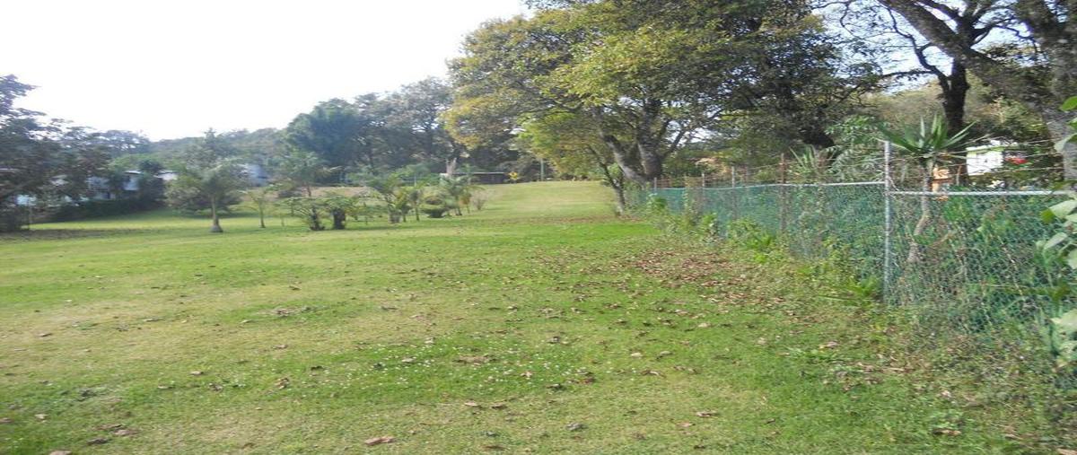 Foto de terreno comercial en venta en  , san antonio, tlalnelhuayocan, veracruz de ignacio de la llave, 30298410 No. 03