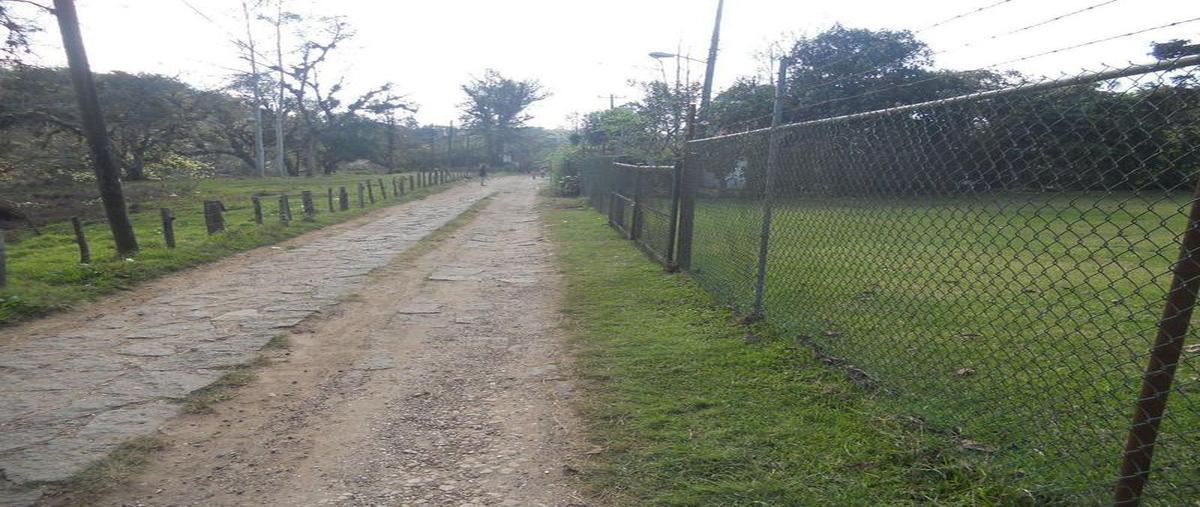 Foto de terreno comercial en venta en  , san antonio, tlalnelhuayocan, veracruz de ignacio de la llave, 30298410 No. 04