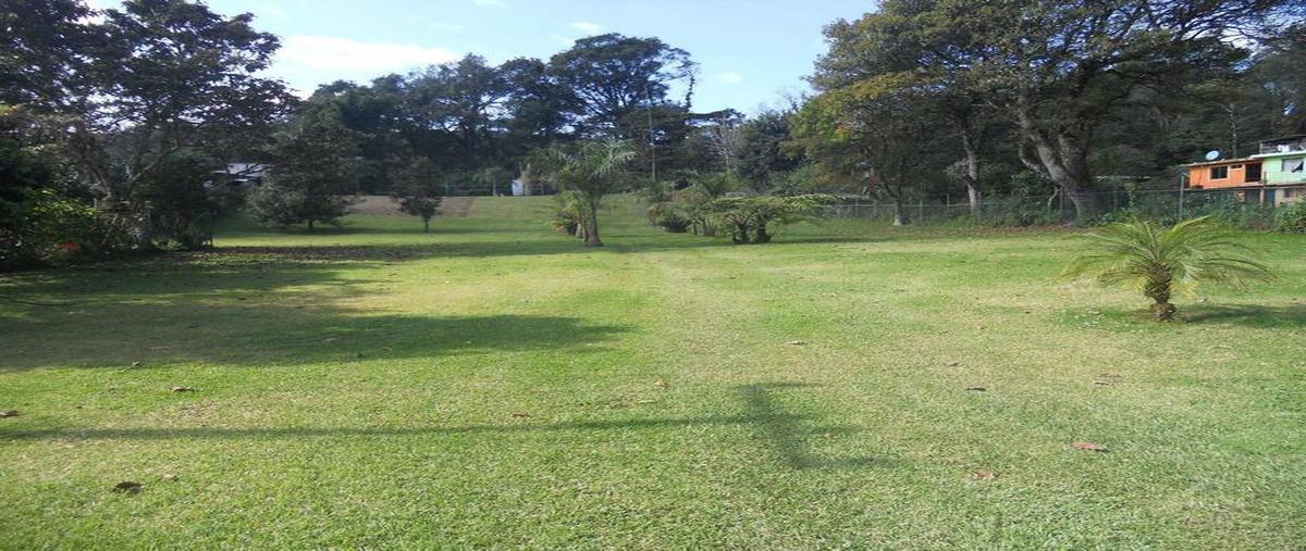 Foto de terreno comercial en venta en  , san antonio, tlalnelhuayocan, veracruz de ignacio de la llave, 30298410 No. 05