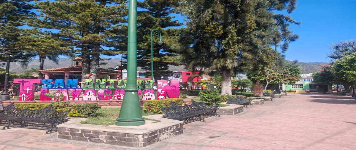 Foto de terreno habitacional en venta en  , san antonio tlayacapan, chapala, jalisco, 0 No. 05