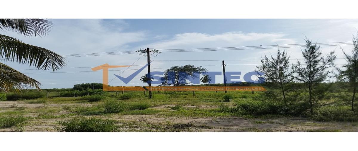 Foto de terreno habitacional en , san antonio, tuxpan, veracruz de ignacio de la llave, 0 foto 04 Foto de terreno habitacional en venta en , san antonio, tuxpan, veracruz de ignacio de la llave, 0 No. 04