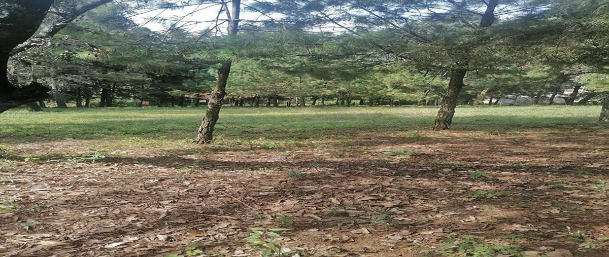 Foto de terreno habitacional en , san antonio, valle de bravo, méxico, 22751858 foto 01 Foto de terreno habitacional en venta en , san antonio, valle de bravo, méxico, 22751858 No. 01