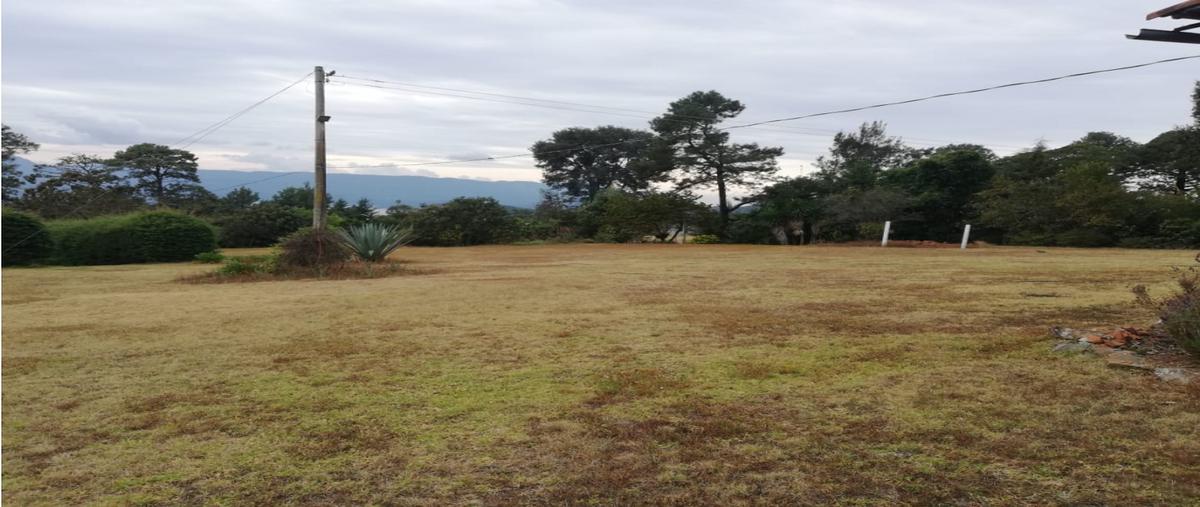 Foto de terreno habitacional en , san antonio, valle de bravo, méxico, 24795966 foto 03 Foto de terreno habitacional en venta en , san antonio, valle de bravo, méxico, 24795966 No. 03