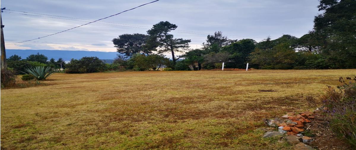 Foto de terreno habitacional en , san antonio, valle de bravo, méxico, 24795966 foto 05 Foto de terreno habitacional en venta en , san antonio, valle de bravo, méxico, 24795966 No. 05