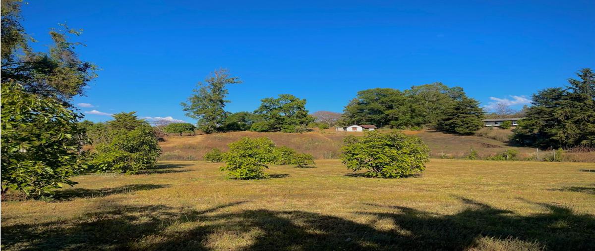 Foto de terreno habitacional en , san antonio, valle de bravo, méxico, 0 foto 05 Foto de terreno habitacional en venta en , san antonio, valle de bravo, méxico, 0 No. 05