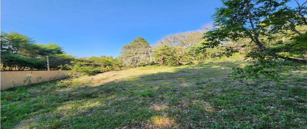 Foto de terreno habitacional en venta en  , san antonio, valle de bravo, méxico, 0 No. 05