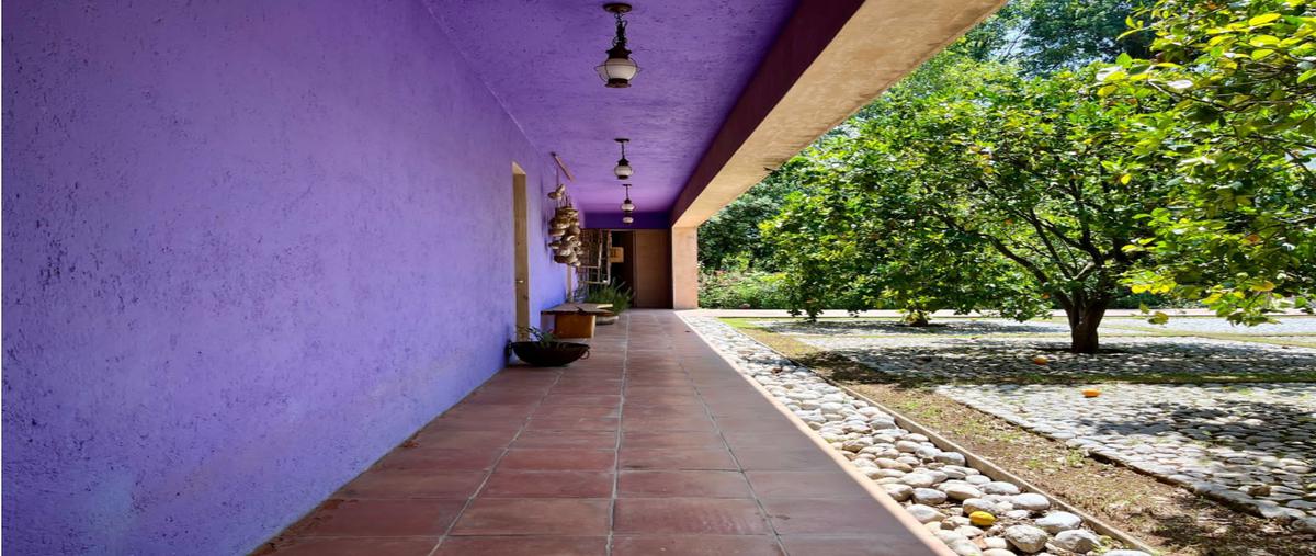 Foto de rancho en venta en  , san antonio, valle de bravo, méxico, 0 No. 03