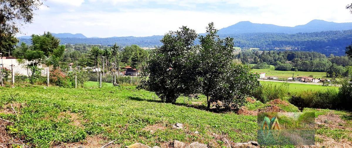 Foto de terreno habitacional en , san antonio, valle de bravo, méxico, 27174487 foto 01 Foto de terreno habitacional en venta en , san antonio, valle de bravo, méxico, 27174487 No. 01