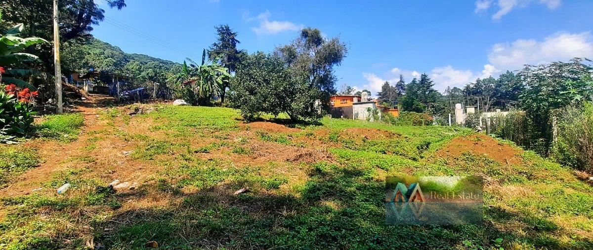 Foto de terreno habitacional en , san antonio, valle de bravo, méxico, 27174487 foto 02 Foto de terreno habitacional en venta en , san antonio, valle de bravo, méxico, 27174487 No. 02