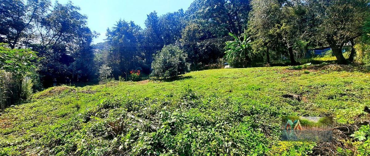 Foto de terreno habitacional en , san antonio, valle de bravo, méxico, 27174487 foto 03 Foto de terreno habitacional en venta en , san antonio, valle de bravo, méxico, 27174487 No. 03