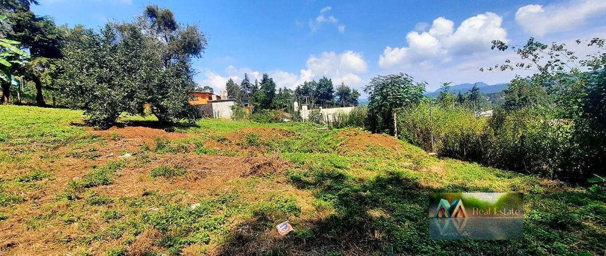 Foto de terreno habitacional en , san antonio, valle de bravo, méxico, 27174487 foto 04 Foto de terreno habitacional en venta en , san antonio, valle de bravo, méxico, 27174487 No. 04