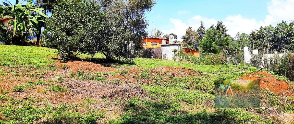 Foto de terreno habitacional en , san antonio, valle de bravo, méxico, 27174487 foto 05 Foto de terreno habitacional en venta en , san antonio, valle de bravo, méxico, 27174487 No. 05