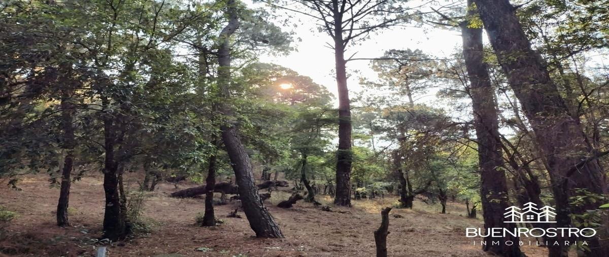 Foto de terreno habitacional en venta en  , san antonio, valle de bravo, méxico, 28244974 No. 05