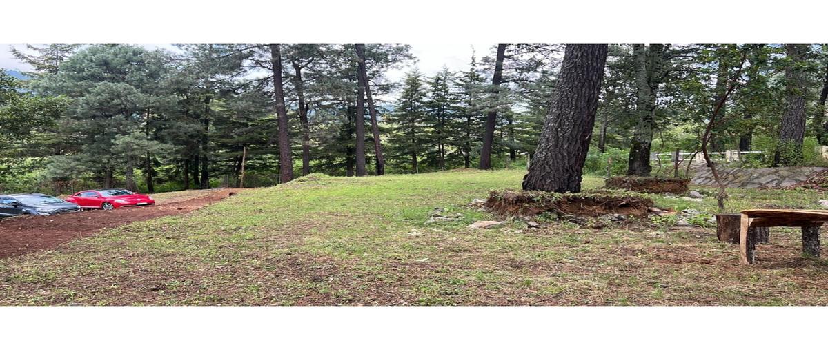 Foto de terreno habitacional en venta en  , san antonio, valle de bravo, méxico, 0 No. 03