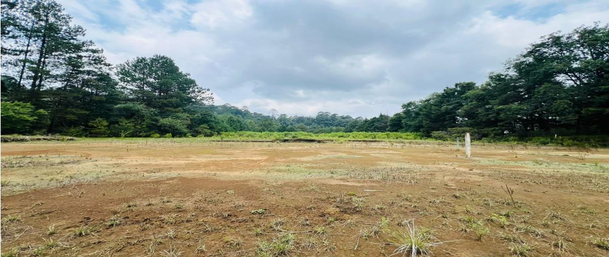 Foto de terreno habitacional en venta en  , san antonio, valle de bravo, méxico, 0 No. 03