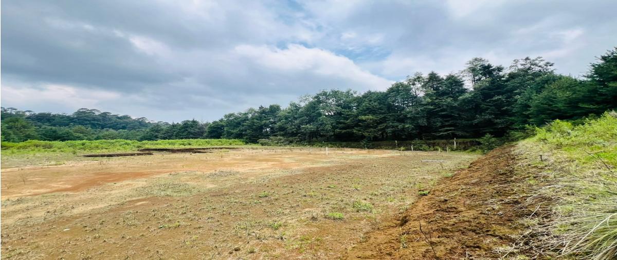 Foto de terreno habitacional en venta en  , san antonio, valle de bravo, méxico, 0 No. 04