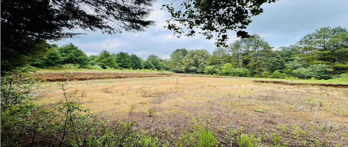 Foto de terreno habitacional en venta en  , san antonio, valle de bravo, méxico, 0 No. 05