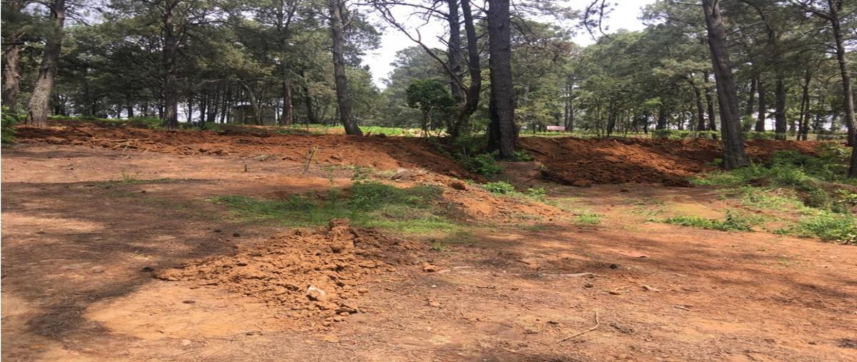 Foto de terreno habitacional en , san antonio, valle de bravo, méxico, 0 foto 05 Foto de terreno habitacional en venta en , san antonio, valle de bravo, méxico, 0 No. 05