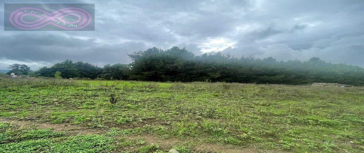 Foto de terreno habitacional en , san antonio, valle de bravo, méxico, 28406612 foto 04 Foto de terreno habitacional en venta en , san antonio, valle de bravo, méxico, 28406612 No. 04