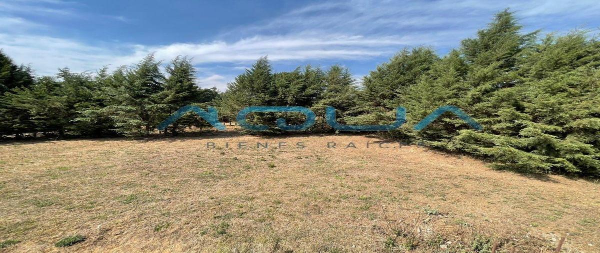 Foto de terreno habitacional en venta en  , san antonio, valle de bravo, méxico, 29067878 No. 03