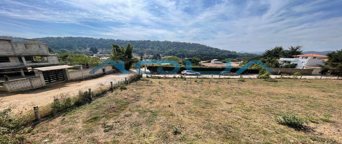 Foto de terreno habitacional en venta en  , san antonio, valle de bravo, méxico, 29067878 No. 04