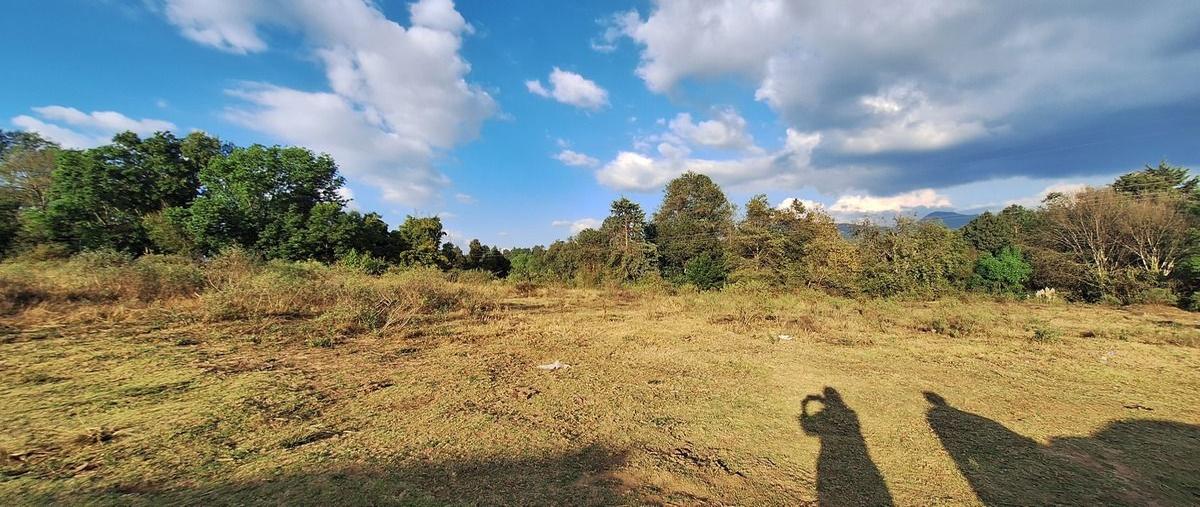 Foto de terreno habitacional en venta en  , san antonio, valle de bravo, méxico, 29269440 No. 04