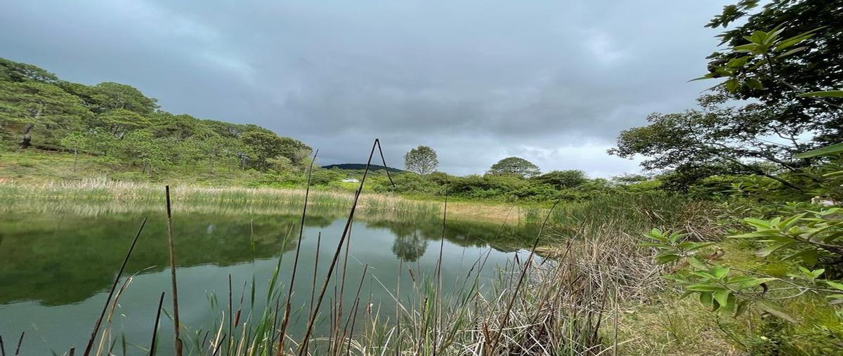 Foto de terreno habitacional en venta en  , san antonio, valle de bravo, méxico, 0 No. 04