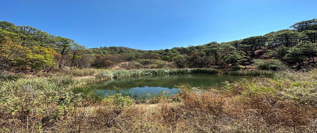 Foto de terreno habitacional en venta en  , san antonio, valle de bravo, méxico, 0 No. 05