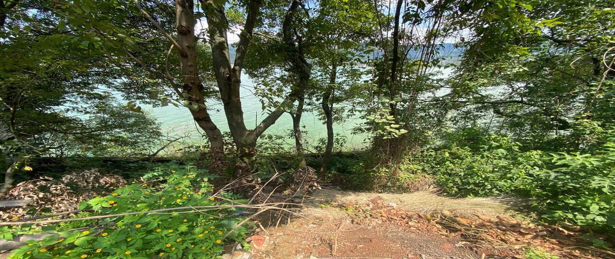 Foto de terreno habitacional en , san antonio, valle de bravo, méxico, 30324113 foto 03 Foto de terreno habitacional en venta en , san antonio, valle de bravo, méxico, 30324113 No. 03