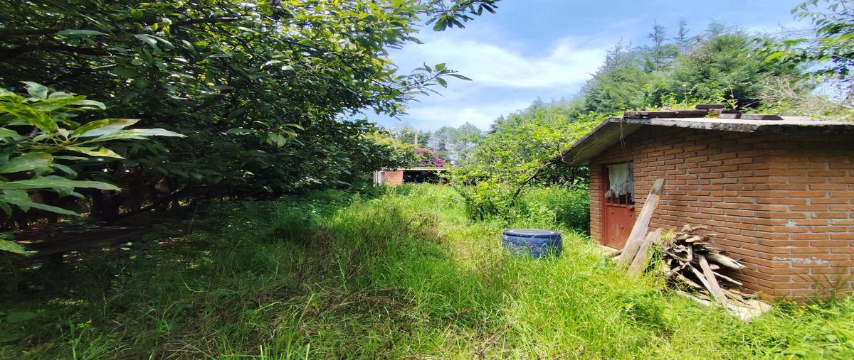 Foto de terreno habitacional en , san antonio, valle de bravo, méxico, 30332489 foto 05 Foto de terreno habitacional en venta en , san antonio, valle de bravo, méxico, 30332489 No. 05