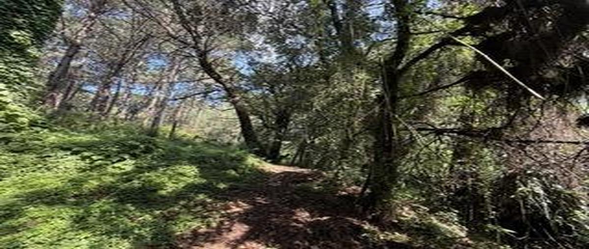 Foto de terreno habitacional en venta en  , san antonio, valle de bravo, méxico, 0 No. 04